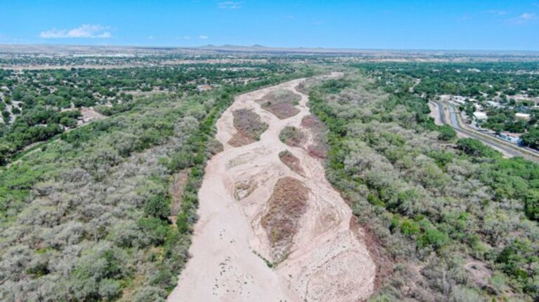 Extended Drying of The Rio Grande Affects Bosque