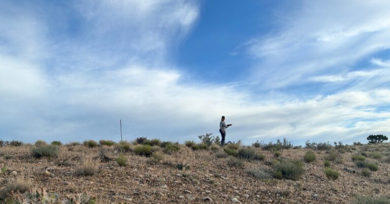 2026 Conservation Ranching Bird Monitoring Results in the Rockies