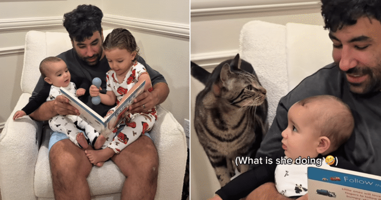 Cat Joins Dad & His Tiny Humans for Story Time Like He’s One of the Kids
