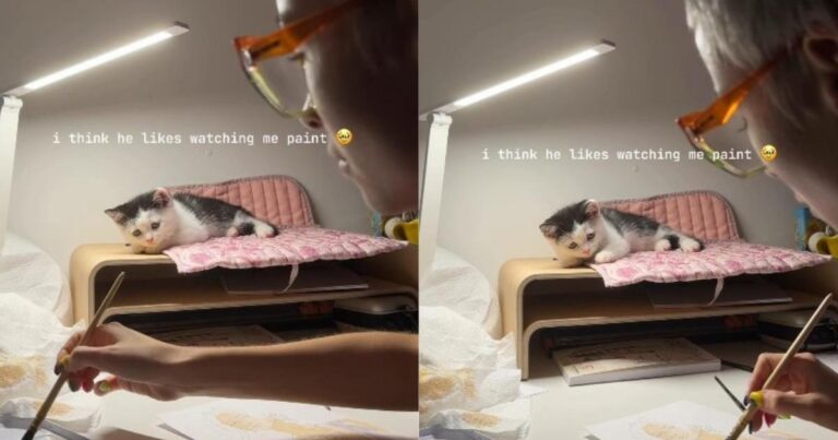 Cat Watches Every Step Owner Takes While Painting Like a Tiny Supervisor