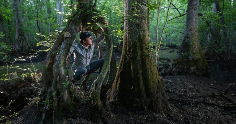 Mac Stone Puts His Photography to Work to Save Southern Swamps