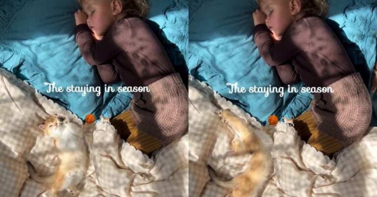 Cat Stretches Beside Tiny Human as a Little Sunshine Makes Their Cozy Spot Even Better
