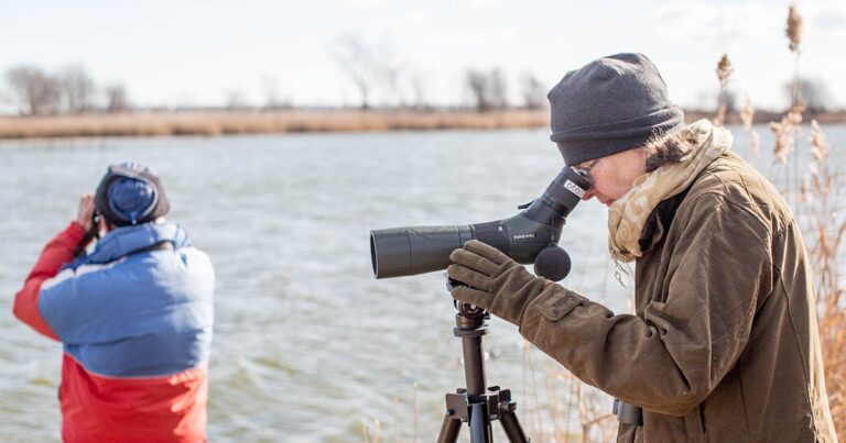 Ask Kenn: Can I See More Birds By Wearing Camouflage?