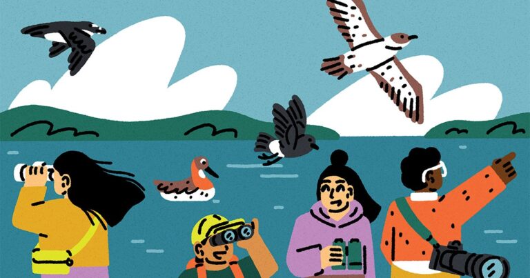 A Beginner’s Guide to Pelagic Birding (and Why It’s Worth the Seasickness)