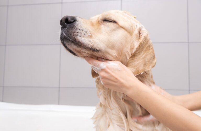 The Routine That Actually Works – PRIDE+GROOM