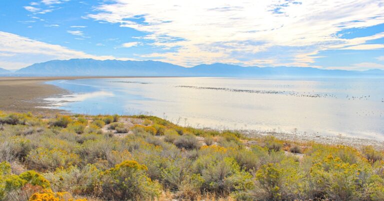 Audubon Assessment Featured in Leading Western Water Publication