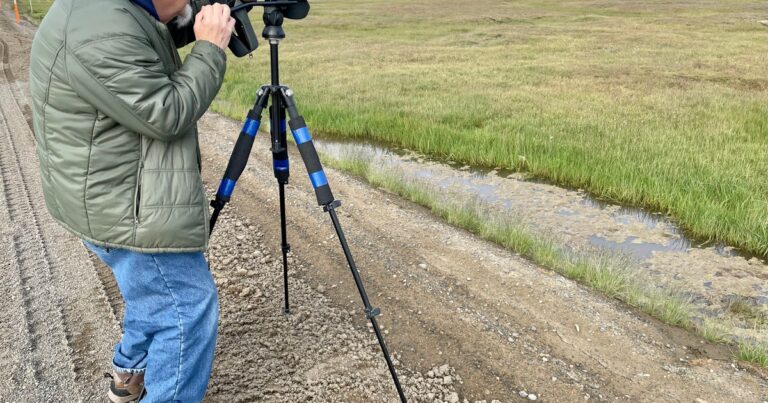 Remembering Mr. Whitekeys: An Alaska Original and Champion for Birds