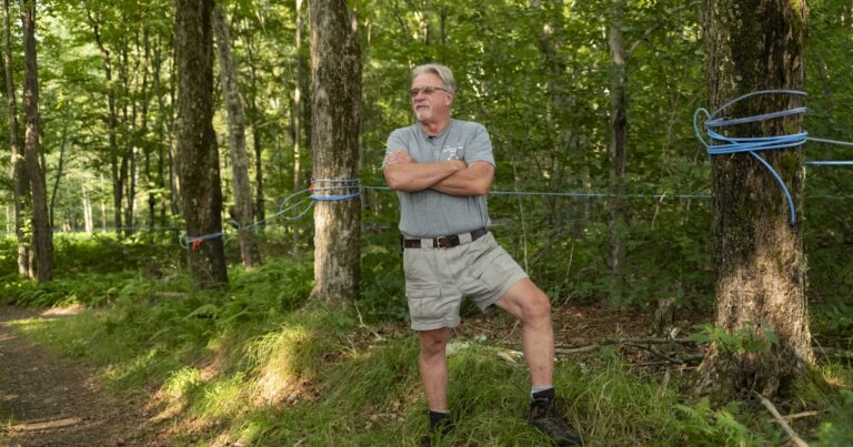 Audubon’s Bird-Friendly Maple Program Launches in Pennsylvania