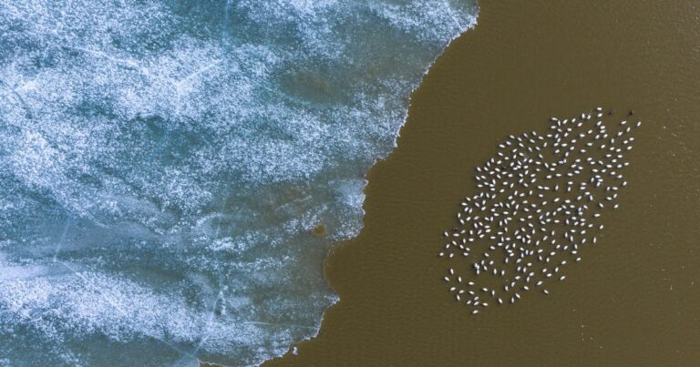 Protecting the Future of Alaska’s Western Arctic
