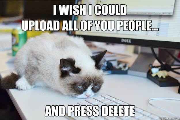 These Grumpy Cat Memes Prove Your Cat Has Been Quietly Judging You All Along