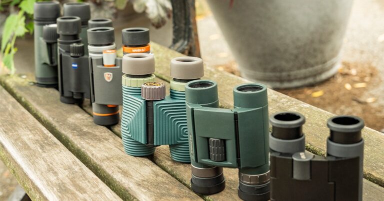 6 Compact and Pocket Binoculars for Birding Reviewed
