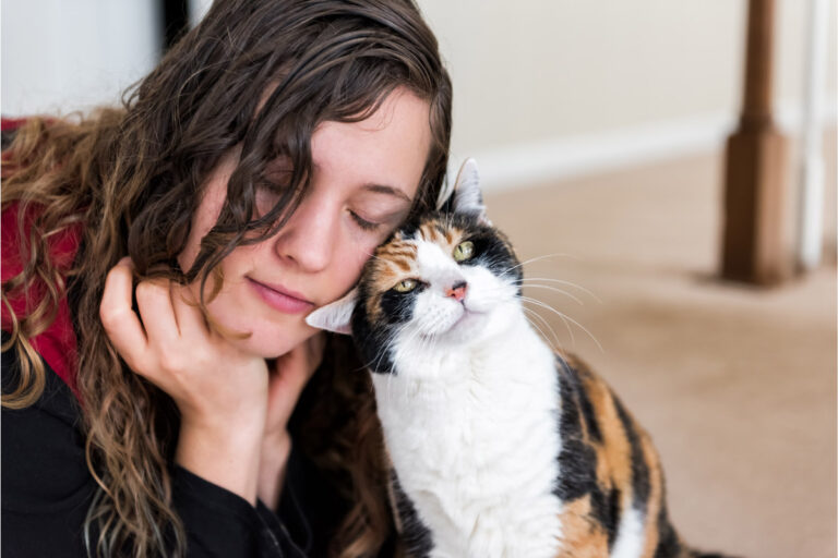 Your Cat Rubs Its Face on Everything for a Reason — And You’re Part of It